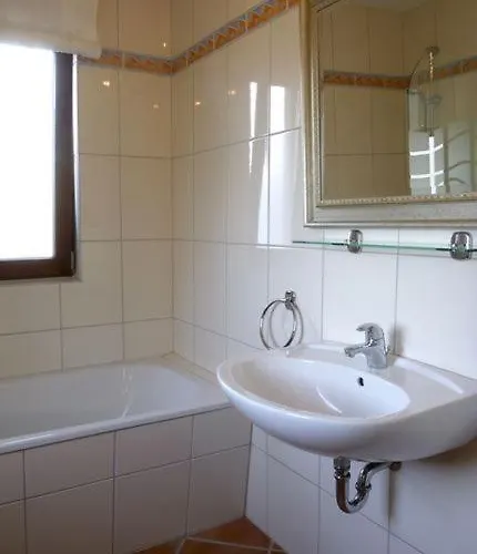 Sturmmöwe Ferienhaus Timmendorf